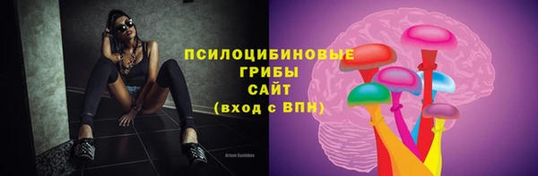 спайс Белокуриха