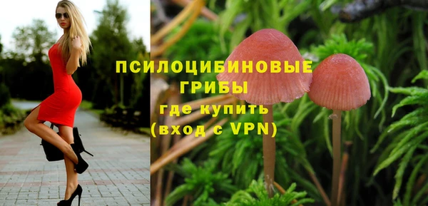 спайс Белокуриха