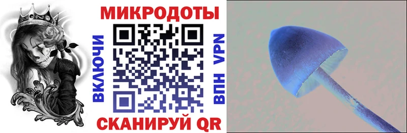 Галлюциногенные грибы ЛСД  наркошоп  Гудермес 