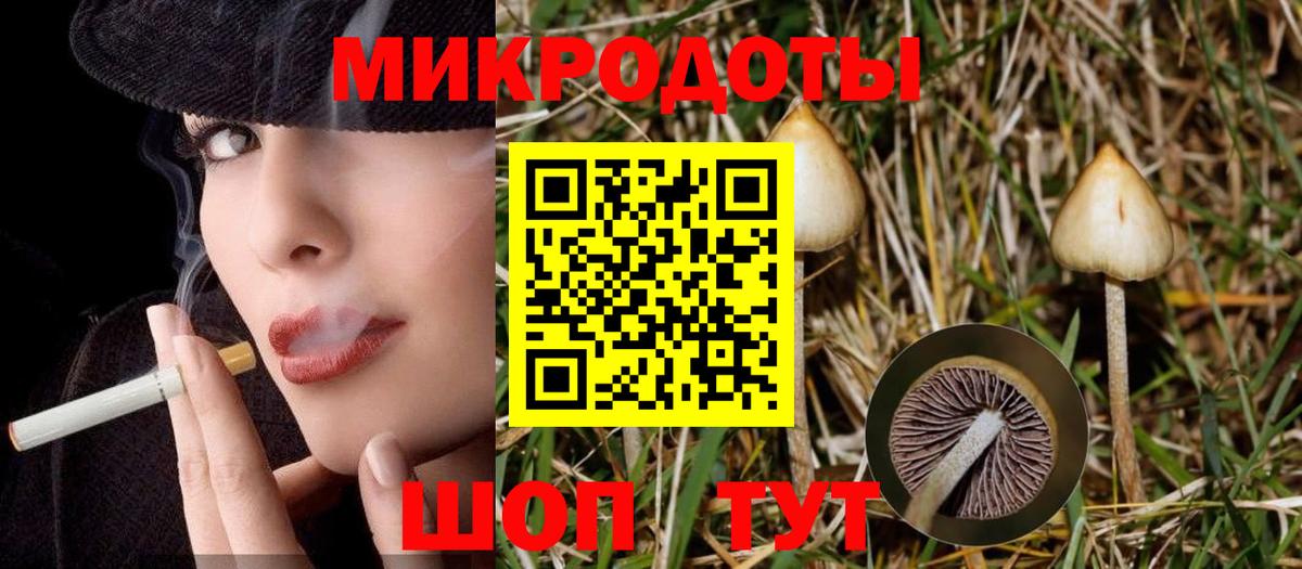 Галлюциногенные грибы MAGIC MUSHROOMS Гудермес